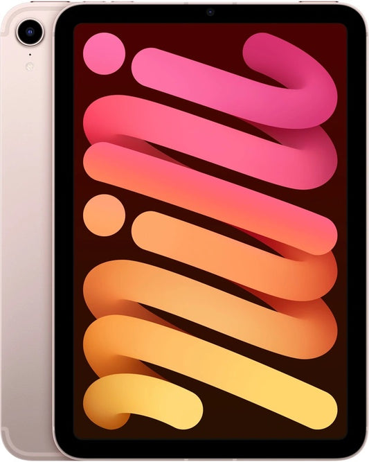 APPLE-MINI-6TH-LTE-PIN-1.jpg