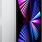 APPLE-PRO-2021-11-LTE-SIL-3.jpg
